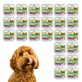 raw-paleo-lamb-pate-mini-adult-alu-tray-24x150g