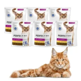perfect-fit-karma-sucha-dla-kot-na-odklaczanie-hairball-kurczak-6x750g