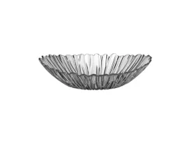 polmisek-talerz-owalny-szklany-33cm-pasabahce10611