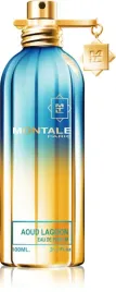 montale-paris-aoud-lagoon-woda-perfumowana-edp-100-ml-flakon