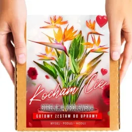 prezent-na-walentynki-strelicja-krolewska-dla-niej-dla-niego-rajski-ptak