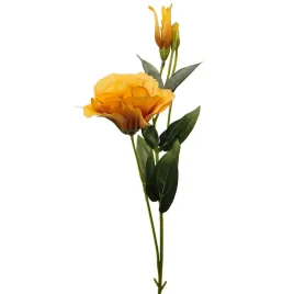 eustoma-pojedyncza-jasny-braz-6-szt