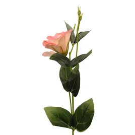 eustoma-pojedyncza-jasno-rozowa-6szt