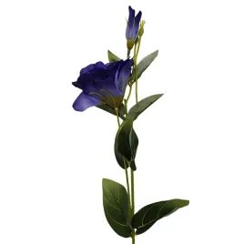 eustoma-pojedyncza-niebieska-6szt