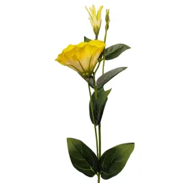 eustoma-pojedyncza-zolta-6szt