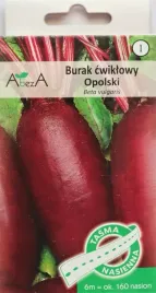 burak-cwiklowy-opolski-nasiona-na-tasmie-6m
