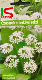czosnek-niedzwiedzi-05g-nasiona-czosnku-niedzwiedziego