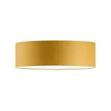 plafon-bialy-60-cm-jenis-stan-nowy