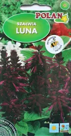 szalwia-luna-05g-nasiona-kwiatow