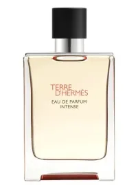 hermes-terre-d-hermes-intense-100ml-woda-perfumowana
