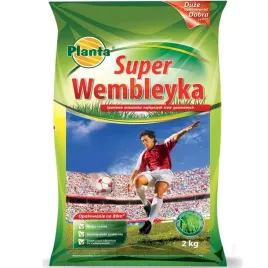 trawa-super-wembleyka-mocna-sportowa-na-boisko-gesta-zwarta-2kg