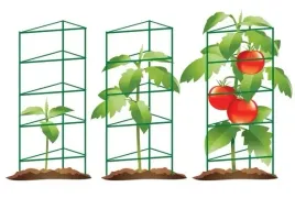 3x-podpory-do-pomidorow-kratki-podpierajace-rosliny-120x45cm-tyczki-3-szt