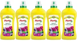 5x-nawoz-plynny-surfinie-petunie-kwiaty-balkon-koncentrat-kwitnace-1l-400l