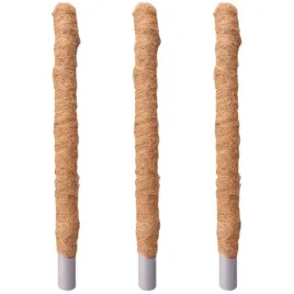 x3-gruby-palik-kokosowy-tyczka-podpora-do-roslin-kwiatow-monstery-40cm-32mm