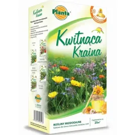 laka-kwiatowa-rosliny-miododajne-kwiaty-i-ziola-wabiace-pszczoly-masiona
