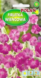 firletka-wiencowa-kwiaty-na-rabaty-kwiat-ciety-do-wazonu-nasiona-1g