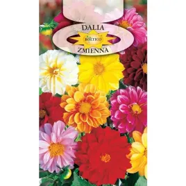 dalia-zmienna-unwins-mix-kolorowe-kwiaty-do-ogrodu-nasiona-1g