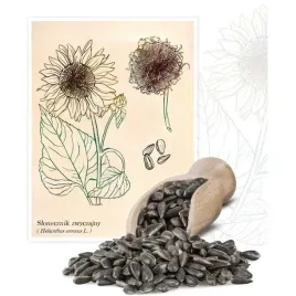 slonecznik-czarny-nasiona-paszowy-pasza-poplon-nasiona-ziarno-ptakow-4kg