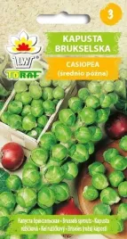 kapusta-brukselska-casiopea-brukselka-do-sadzenia-nasiona-nasionka-1g
