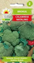 nasiona-brokul-calabrese-duzy-zdrowy-smaczny-bogaty-w-witaminy-1g