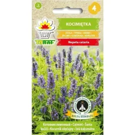 kocimietka-aromatyczna-roslina-wabi-koty-odstrasza-komary-nasiona-04g