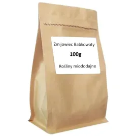 nasiona-zmijowiec-babkowaty-miododajny-100g-roslina-dla-pszczol