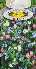 nasiona-niezapominajka-niebieska-rozowa-biala-skalniak-ogrod-ozdobna-1g