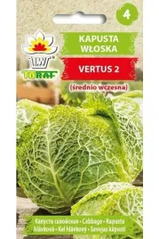 kapusta-wloska-vertus-2-nasiona-toraf-srednio-wczesna-zbite-glowki-2g