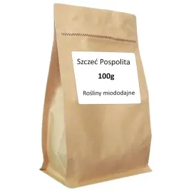 szczec-pospolita-miododajna-miodowa-nasiona-100g-dipsacus-fullonum