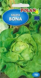 salata-maslowa-bona-wczesna-delikatna-smaczna-plenna-nasiona-1g
