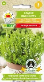 czaber-ogrodowy-ziola-korzenne-aromat-nasiona-2g-satureja-hortensis-toraf