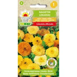 nagietek-lekarski-toraf-kwiaty-pomaranczowe-zolte-lecznicze-nasiona-1g