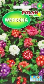 nasiona-werbena-mix-kolorow-pachnaca-na-rabaty-kwietniki-misy-05g