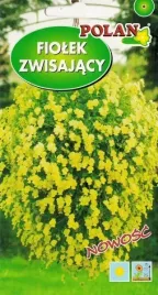 fiolek-zwisajacy-liczne-kwiaty-balkon-skrzynki-misy-wiszace-nasiona-03g