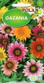 gazania-mix-wielokolorowa-zolta-pomaranczowa-skalniak-nasiona-1g