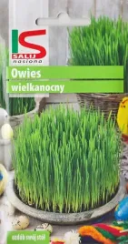 nasiona-owies-wielkanocny-swiateczna-ozdoba-stolu-dekoracyjny-20g