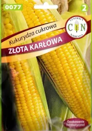 kukurydza-cukrowa-zlota-karlowa-wczesna-plenna-slodkie-kolby-nasiona-20g
