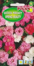gozdzik-pierzasty-spring-beauty-mix-nasiona-rabaty-skarpy-skalniak-03g
