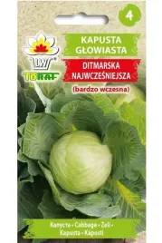 kapusta-glowiasta-biala-ditmarska-nasiona-wczesne-toraf-kuliste-2g