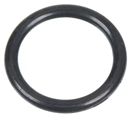 oring-cedrus-16-x-19-myjka-cisnieniowa-mc150p-560311