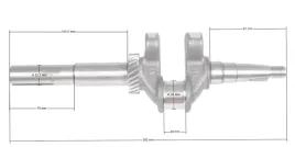 wal-korbowy-zongshen-xp200a-65hp-222mm-70mm-100003840