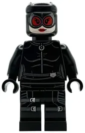 lego-super-heroes-batman-ii-catwoman-sh1089-76300