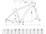 rower-gorski-kellys-spider-30-blue-l-29