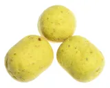 dumbels-sinking-method-feeder-wanilia-50g-8-10mm-waga-50-g