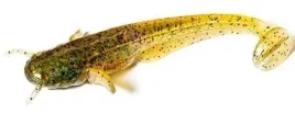przyneta-sztuczna-robak-sumik-fishup-catfish-caramel-green-black-5cm-10szt