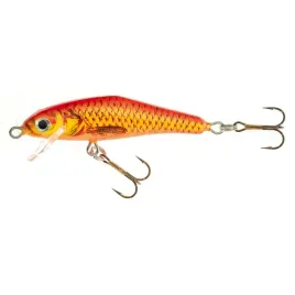 wobler-holo-select-gelon-60cm-f-en