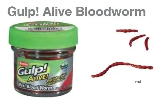 przyneta-gulp-alive-bloodworms-large