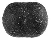 soft-pellets-method-feeder-konopie-50g-8-10mm-przeznaczenie-amury-halibuty-karpie