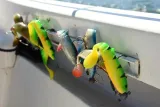 ripper-cannibal-shad-8cm-5g-chartreuse-pumpkin-dlugosc-8-cm