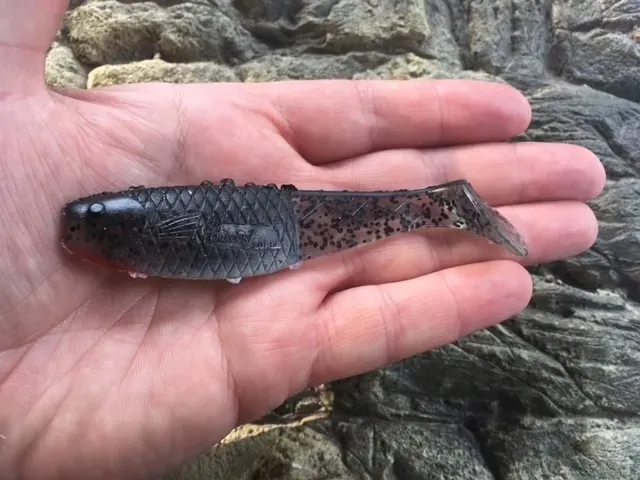 ripper-dragon-reno-killer-10cm-clear-black-przeznaczenie-jazie-klenie-lipienie-okonie-pstragi-sandacze-sumy-szczupaki